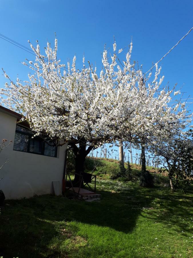 Il Ciliegio Del Pellegrino Apartment Gubbio Luaran gambar